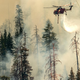 A helicopter drops water on the Washburn Fire in Yosemite National Park on July 9, 2022.